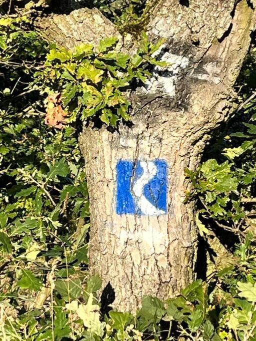 Rheinauszeit Διαμέρισμα Rheinbrohl Εξωτερικό φωτογραφία